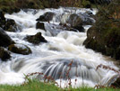 Falls vi